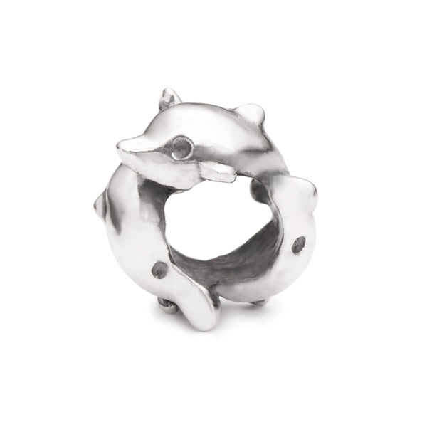 Dolphins, Silver