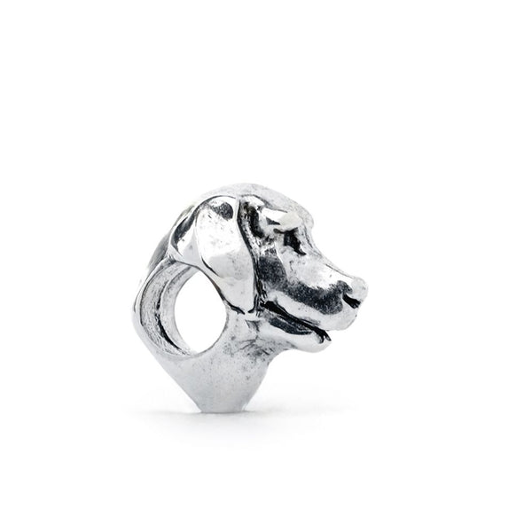 Labrador Retriever, Silver