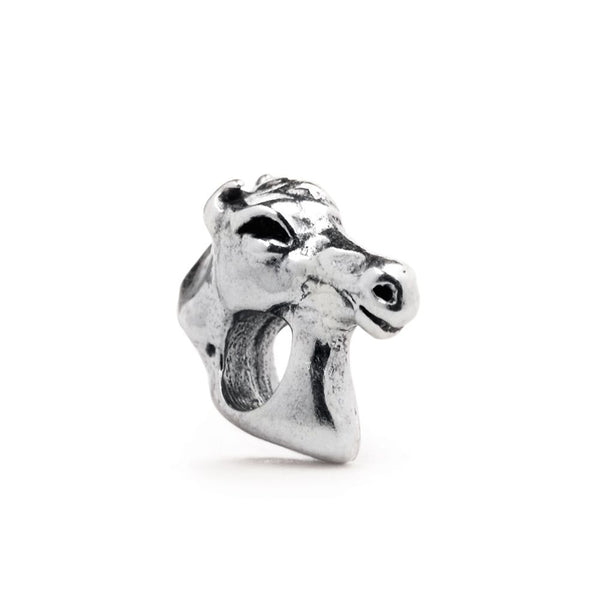 Black Stallion, Silver
