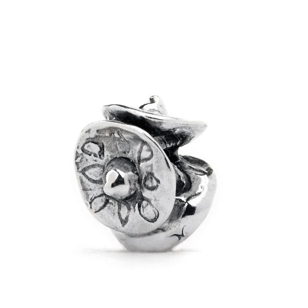 Tres Sombreros, Silver