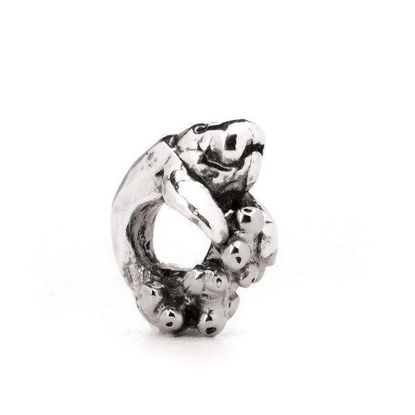 Manatee and Coral, Silver