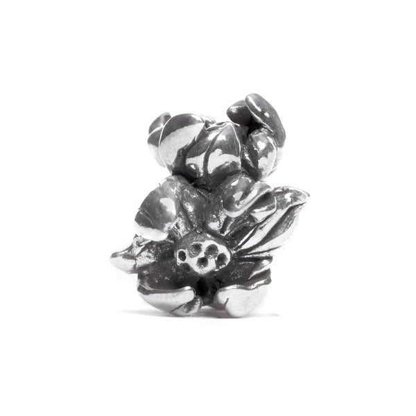 Magnolias, Silver