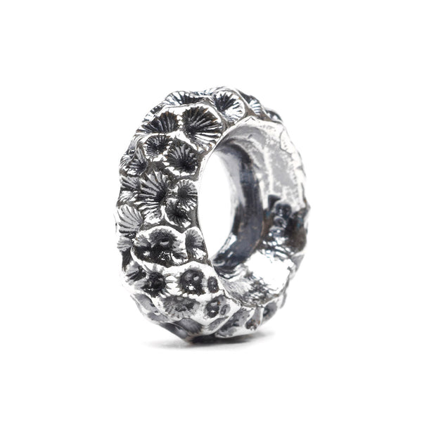 Coral Reef, Silver