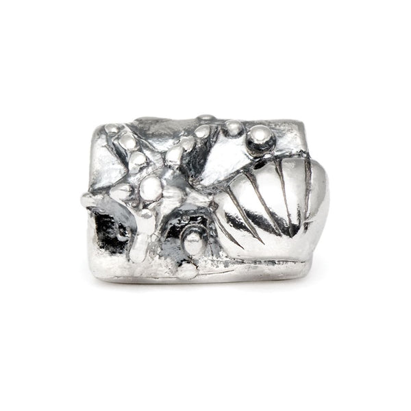 Seashore, Silver