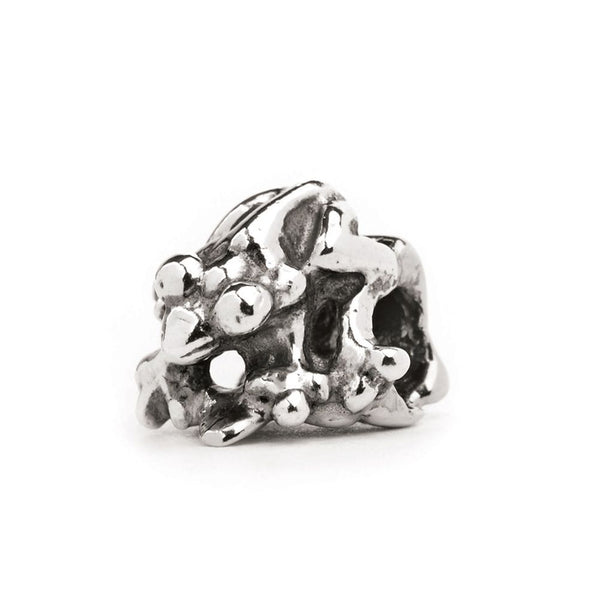 Rainforest Frog, Silver