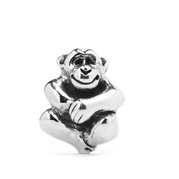 Chimpanzee, Silver