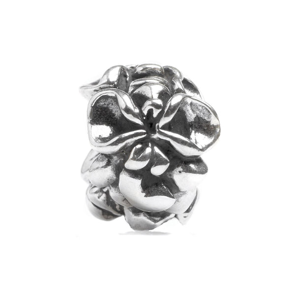 Orchids, Silver