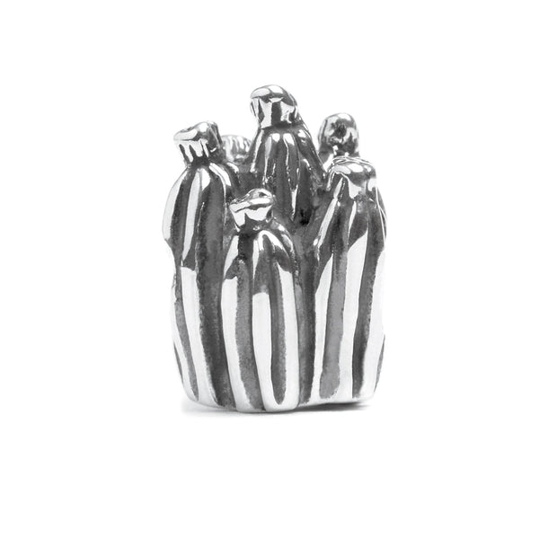 Cactus, Silver