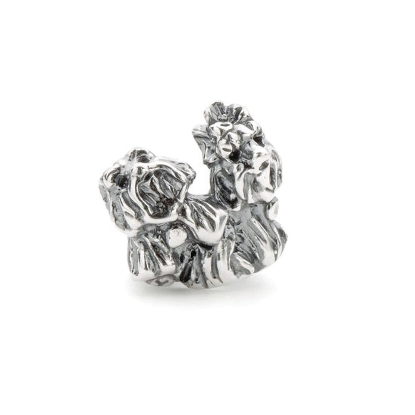 Yorkshire Terrier, Silver