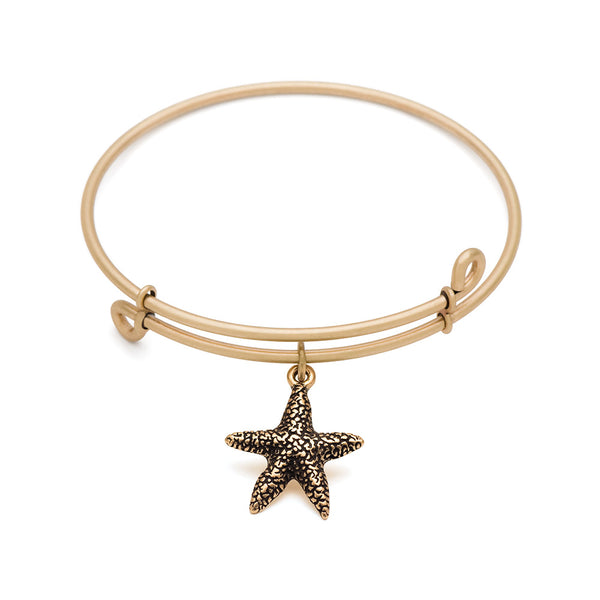 Starfish, Bangle Antique Gold Color Finish