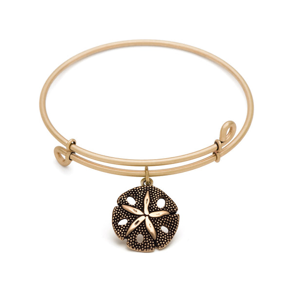 Sand Dollar, Bangle Antique Gold Color Finish