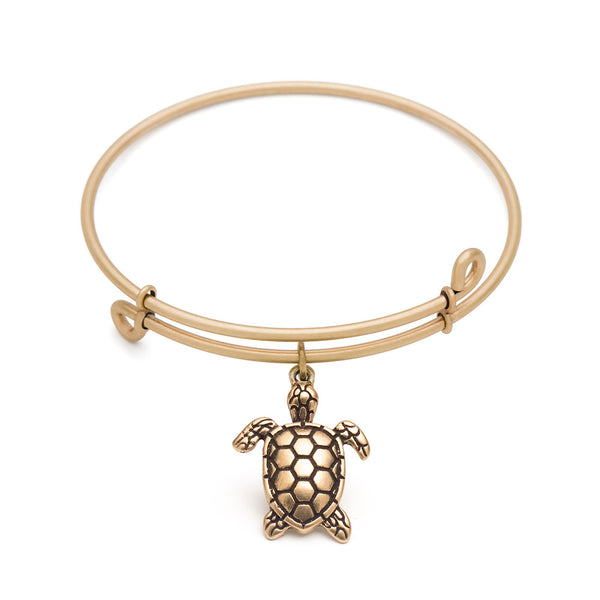 Sea Turtle, Bangle Antique Gold Color Finish