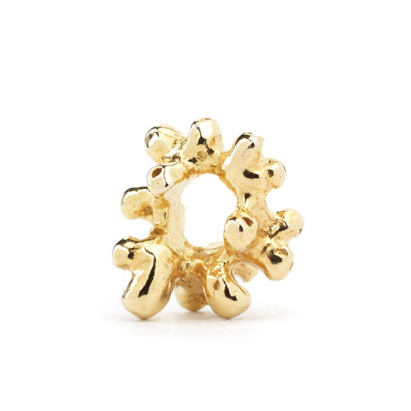 Coral, 14K Gold