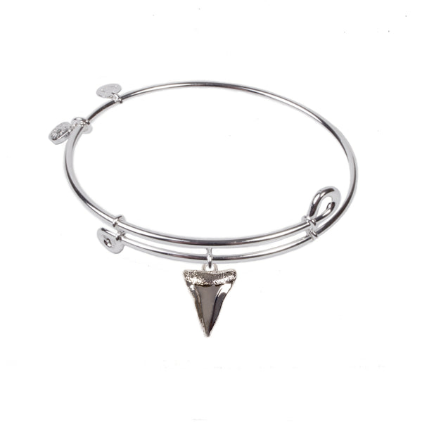 Shark Tooth, Bangle Sterling Silver Plated