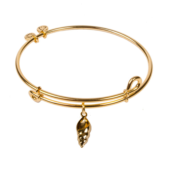 Conch Shell, Bangle 18K Gold Plated
