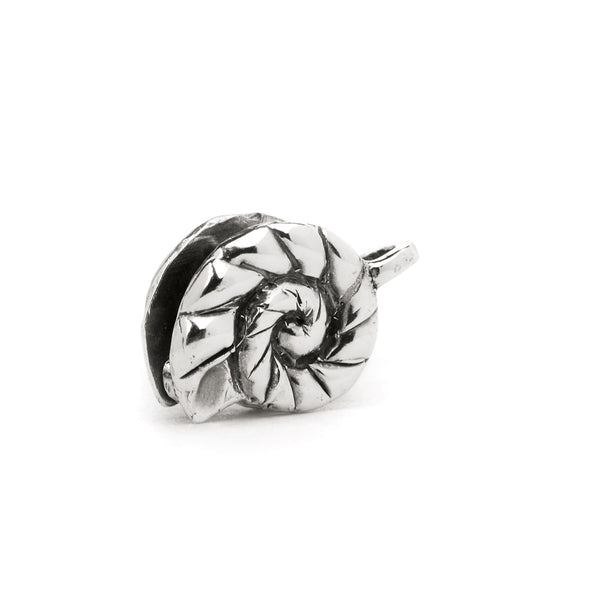 Nautilus