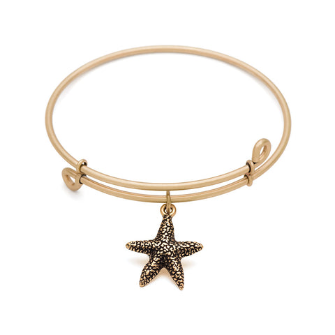 SOL Starfish, Bangle Antique Gold Color Finish