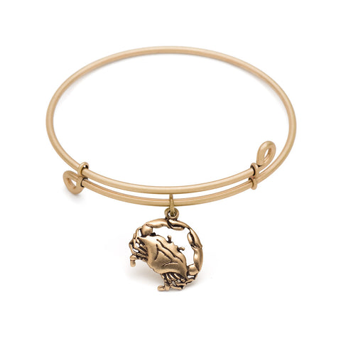 SOL Crab, Bangle Antique Gold Color Finish