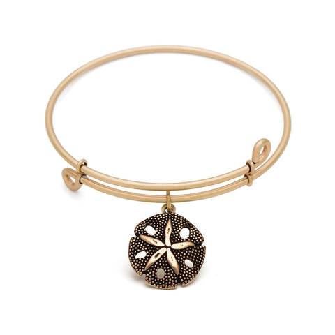 SOL Sand Dollar, Bangle Antique Gold Color Finish