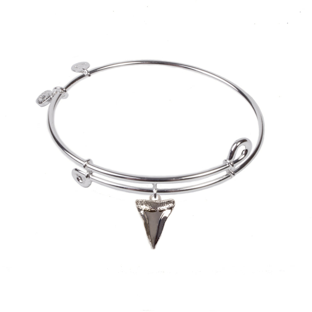 SOL Shark Tooth, Bangle Sterling Silver Plated