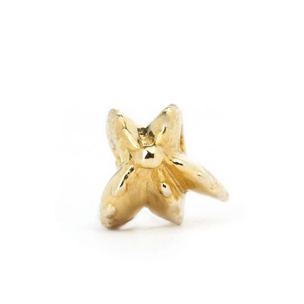 Novobeads Starfish, 14K Gold
