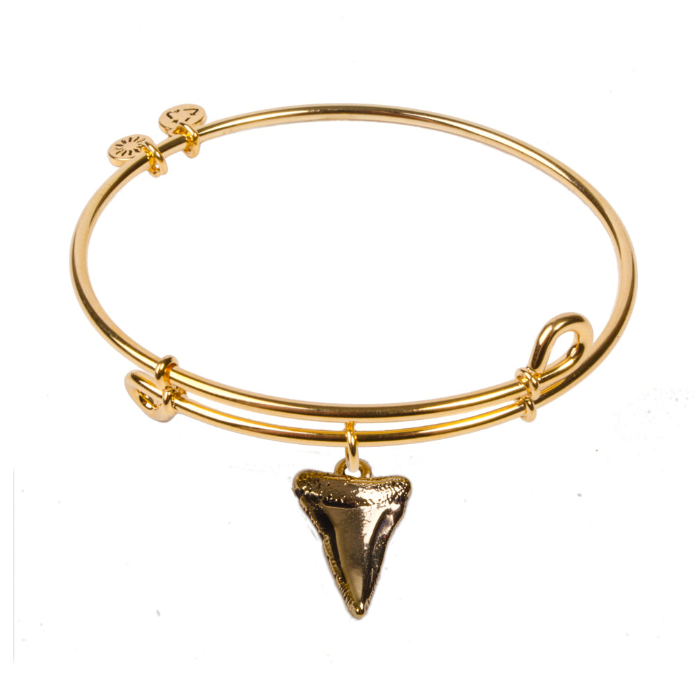 SOL Shark Tooth, Bangle 18K Gold Plated