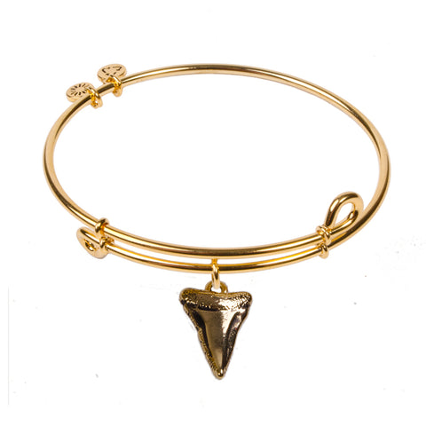 SOL Shark Tooth, Bangle 18K Gold Plated